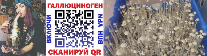 продажа наркотиков  Богучар  Галлюциногенные грибы мицелий 